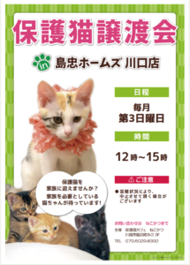 保護猫譲渡会 @ 島忠ホームズ川口店 | 川口市 | 埼玉県 | 日本