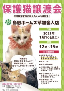 保護猫譲渡会 @ 島忠ホームズ草加舎人店 | 草加市 | 埼玉県 | 日本
