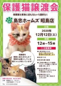 ●保護猫譲渡会 @ 島忠ホームズ昭島店 | 昭島市 | 東京都 | 日本