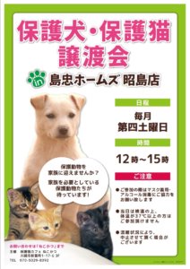 保護犬猫譲渡会 @ 島忠ホームズ昭島店 | 昭島市 | 東京都 | 日本