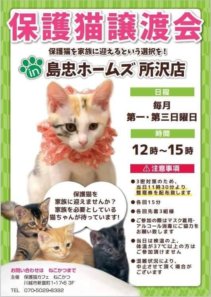 ●保護猫譲渡会 @ 島忠ホームズ所沢店 | 所沢市 | 埼玉県 | 日本