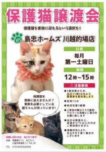 保護猫譲渡会 @ 島忠ホームズ川越的場店 | 川越市 | 埼玉県 | 日本