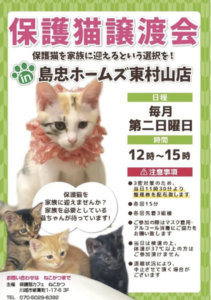 保護猫譲渡会 @ 島忠ホームズ東村山店 | 東村山市 | 東京都 | 日本
