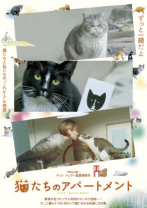 保護猫譲渡会 @ 川越スカラ座 | 川越市 | 埼玉県 | 日本