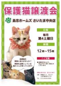 保護猫譲渡会 @ 島忠ホームズさいたま中央店 | さいたま市 | 埼玉県 | 日本