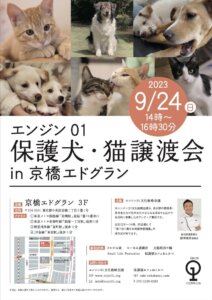 エンジン01 保護犬・猫譲渡会 @ 京橋エドグラン 3F | 中央区 | 東京都 | 日本