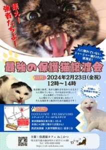 最強の保護猫譲渡会 @ ECCELLENTE FIELD ＆ STUDIO | 練馬区 | 東京都 | 日本
