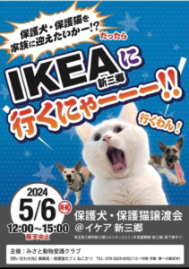 保護猫・犬譲渡会 @ IKEA新三郷 | 三郷市 | 埼玉県 | 日本